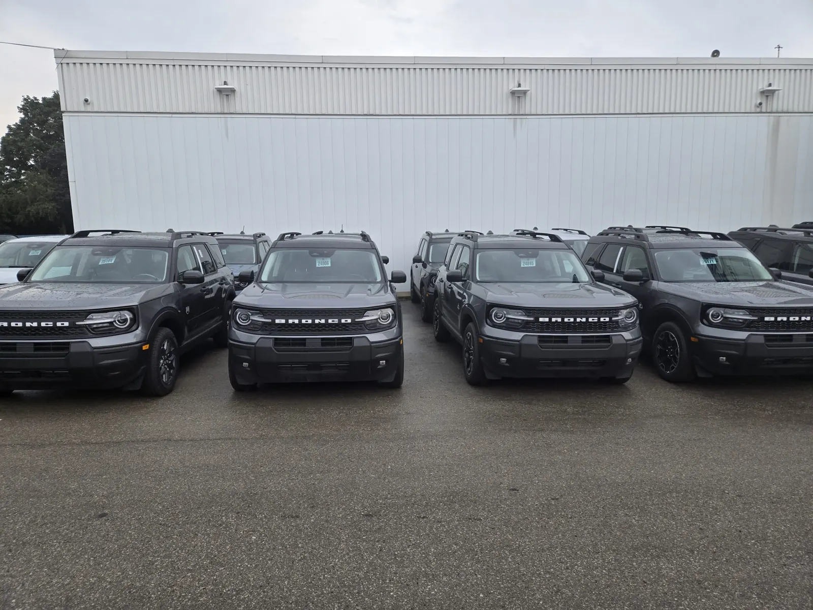 Ford Bronco Sport Fleet